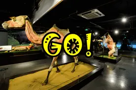 暑期打卡指南！苏州首次发布！8条带娃必去的科普游线路完整版图片