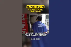 小区居民在房屋内圈养土鸡2年，街道综合执法中心敦促其“处理”图片