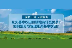 永久基本农田和耕地有什么关系？如何划分与管理永久基本农田？图片