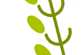 活动报名 | 2023“七彩童年”系列公益培训报名开始啦！图片