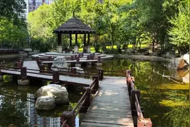 小区景观池天热泛臭味，多方联动恢复水岸景观图片