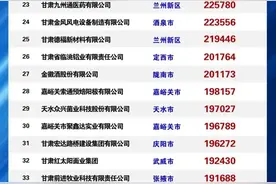 2023甘肃民企50强榜单出炉！3家营收超100亿图片