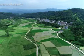全国“土地日”张家界主题宣传片丨芬芳的田野图片