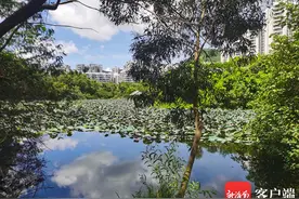 三亚12345联动 | 公园脏乱差“无人认领”？多部门现场办公解难题图片