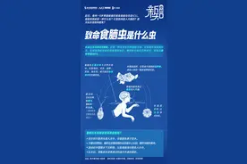 图解致命的食脑虫：如何一步步进入大脑？自来水中也可能有？图片