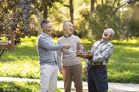 夜读｜北京人的遛鸟图片