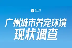 给猫看病花3万！记者走访宠物医院：有项目收费相差60多倍图片