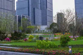 新建空中花园里藏着百年航运史？来看上海唯一一条连通黄浦江畔的人行天桥图片