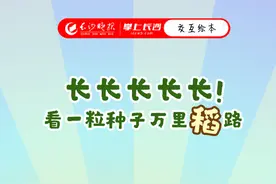 交互绘本丨长长长长长！看一粒种子万里“稻”路图片