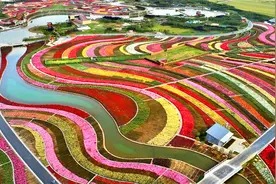 行走河南 读懂中国图片