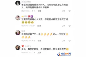 宠物狗被遗弃出租屋20多天，没吃没喝饿成皮包骨！青岛好心人成功救助图片