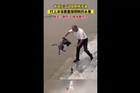 爷爷在江边给狗狗洗澡，打上沐浴露直接把狗扔水里，狗子：跑不了，根本跑不了图片