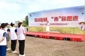 孝昌：农耕插秧  稻田摸鱼  这个活动把“课堂”搬进了田间地头图片