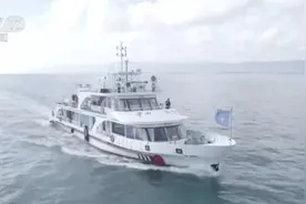 记者探寻鱼鸥繁殖地 数量稳中有增 适应能力强图片