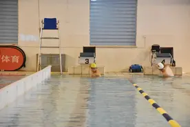 崇明区中小学生游泳比赛今日开赛图片