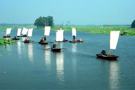 微山湖上好行船图片