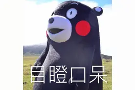 999元一个？魔都"网红蛋挞"让全国吃货咋舌，还抢不到！吃过的人说…图片