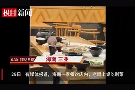 餐馆里老鼠爬上餐桌觅食，记者调查发现事发三亚，涉事店面已被要求停业图片