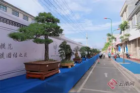 文商旅组合发力 共促砚山民族团结图片