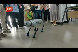 亚运探“杭”④|踩点羽毛球场馆，“小白碗”的这只“狗”火了？图片