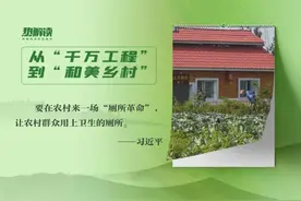 乡村之美｜小厕所 大民生图片