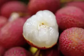 5岁女童这样吃荔枝后突然昏迷……医生：这种病机制尚不明确图片