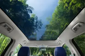 又到新能源车烫头季 网友建议用太阳能板取代全景天幕图片