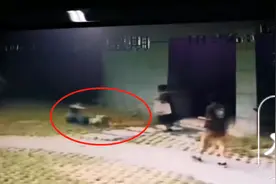 “合肥一女子遛狗不牵绳咬伤他人”后续：社区建议走法律程序图片