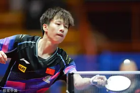 打满七局！林高远战胜樊振东夺得冠军图片