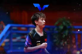 WTT常规挑战赛萨格勒布站：林高远逆转樊振东夺冠图片