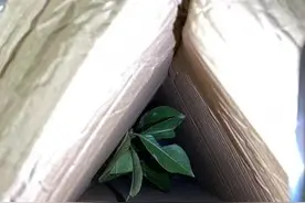 代收货款159元，货物价格不到0.3元？图片