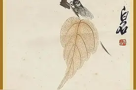 海南周刊 | 知了声声图片