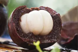 大量上市！这个"水果皇后"，清热、降火、生津，入口软嫩多汁~图片