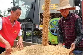 瞭望丨用好调查研究传家宝图片