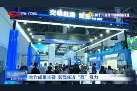 四川新闻联播丨合作成果丰硕 彰显经济“西”引力图片