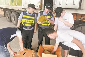 钦州保税港口岸成广西最大榴莲海上进口通道图片