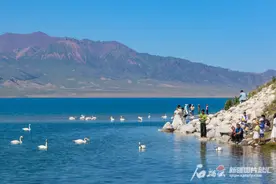 创新高！赛里木湖景区单日接待游客超7万人次图片