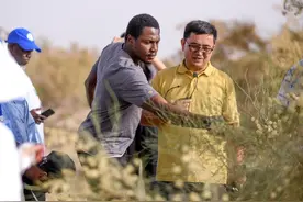 撒哈拉与塔克拉玛干的“绿色对话”图片