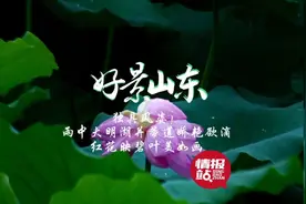 果然视频·好景山东|雨中大明湖并蒂莲娇艳欲滴，红花碧叶美如画图片