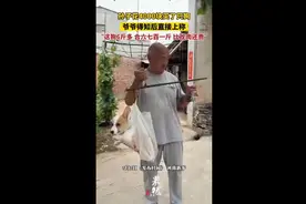 孙子花4000块买了只狗，爷爷得知后直接上称：“这狗6斤多，合六七百一斤，比龙肉还贵”图片