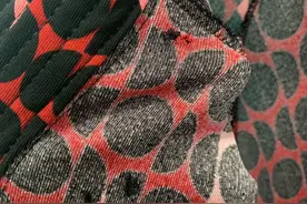 1.8万连衣裙花280元“保值精洗”后大面积染色，洗衣先生：还在协商赔偿图片