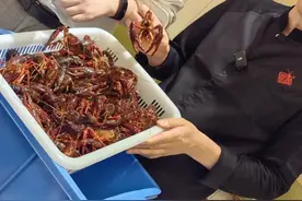 5斤小龙虾烧熟变3斤？消保委实测发现……图片