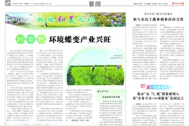 共赴和美之约｜时屯村环境蝶变产业兴旺图片