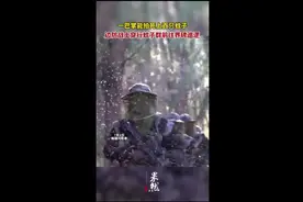 一巴掌能拍死上百只蚊子！边防战土穿行蚊子群前往界碑巡逻图片