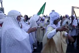 阿尔及利亚民众庆祝独立61周年图片