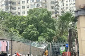 极目帮办丨小区外垃圾堆成山，居民投诉数月仍难解决，相关部门：处于两个街道插花地段，正在协商解决图片