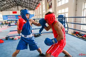 “八角笼外”的格斗少年：回归学校读书，已夺多个拳击冠军图片