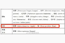 蜜瓜卖138元一瓣店方称日本进口，海关回应图片