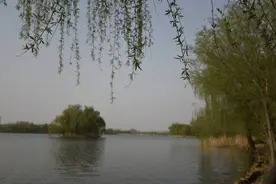 青州弥河国家湿地公园：大兴调查研究之风 打造幸福美丽河湖图片