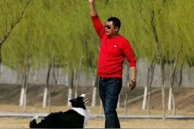 寻踪济南玩家（二十九）姜涛的玩犬岁月图片